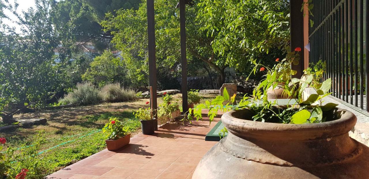 Apartamentossierradegata La Noguera Villamiel Buitenkant foto